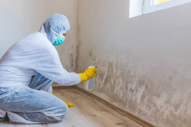 Mold Remediation specialist working in Madera